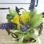 IMG_6329_mala.jpg