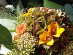 20151026_122422.jpg