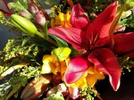 20151102_134230.jpg