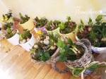 20160305_125259