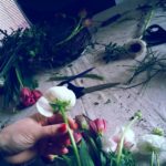 20170408_161729