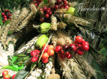 IMG_9393_mala
