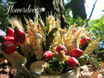 IMG_9457_mala