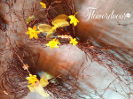 20160305_125349
