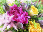 IMG_885457723afc2c61f.jpg
