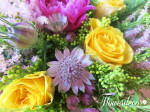 IMG_885557723afeba567.jpg