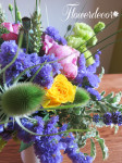 IMG_8994_1.jpg