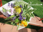 IMG_9016_1.jpg
