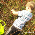 img-20161001-wa0002