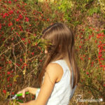 img-20161001-wa0003