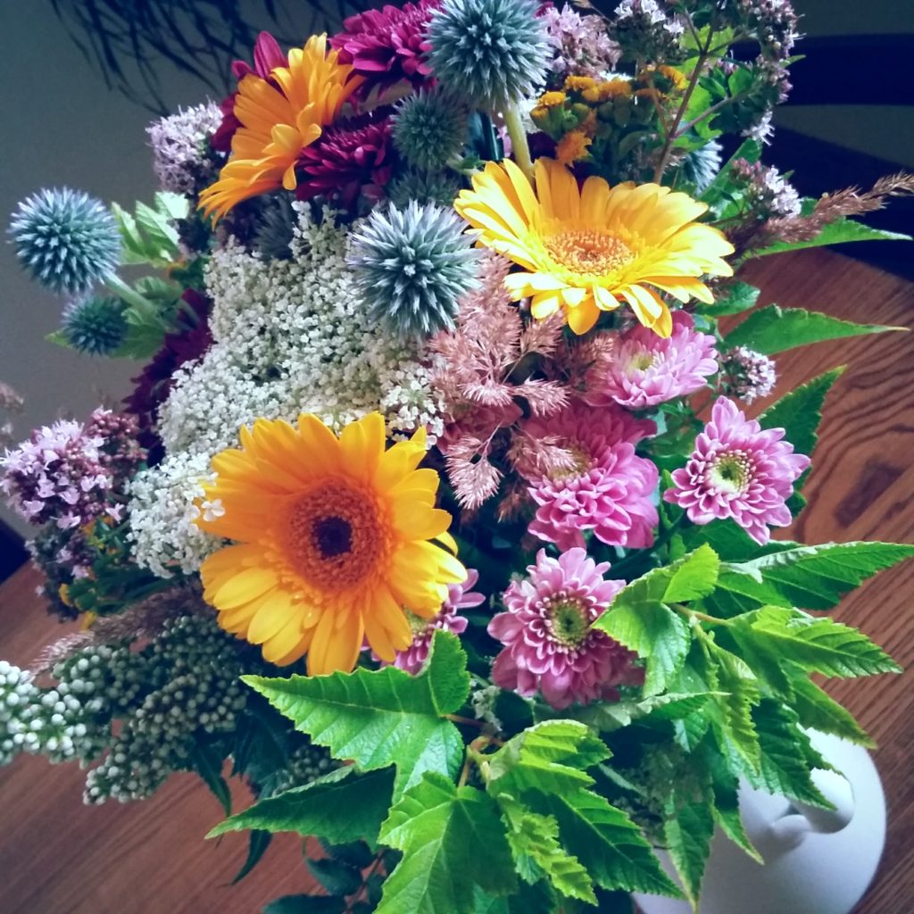 20170629_160250